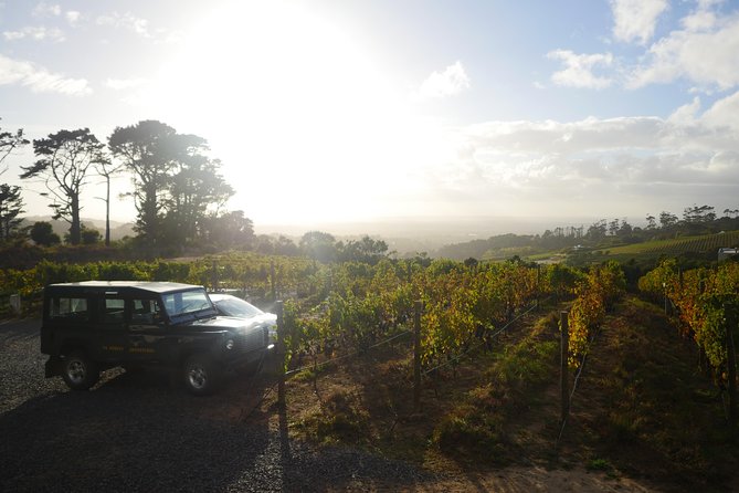 Private: Full Day Ultra-Premium Wine Tour from Cape Town to Constantia - Hotel Pickup and a Comfortable Start