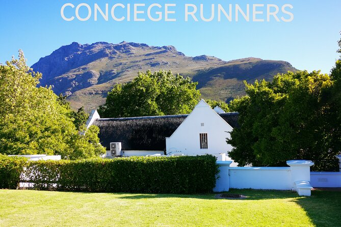 Private Full Day Wine Tasting in Cape Town - Delaire Graff: art, gardens, and a polished finish