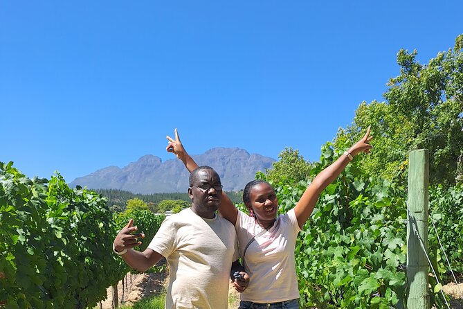 Private Full Day Wine Tasting in Cape Town - South African wine in a wider historical setting