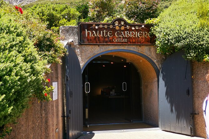 Private Full Day Wine Tasting in Cape Town - Timing, comfort, and who should book