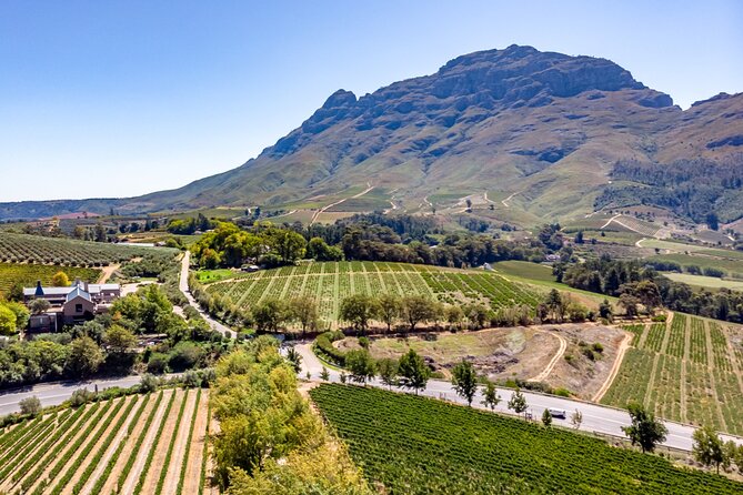 Private Full Day Wine Tour in Cape Town - Why This Cape Winelands Day Works