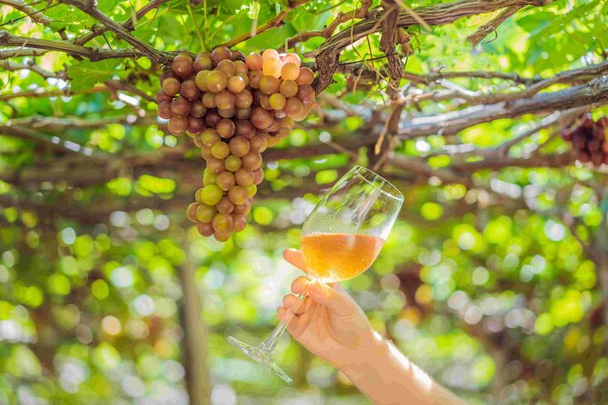 Private Full Day Wine Tour in Cape Town - What the Private Vehicle Adds