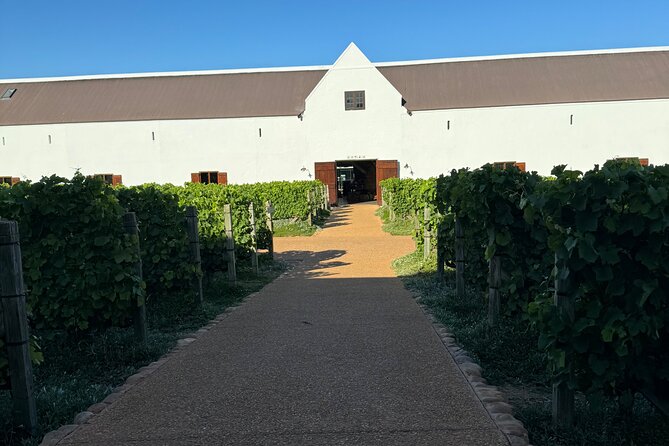 Private Full Day Wine Tour: Stellenbosch and Franschhoek & Paarl - Starting in Stellenbosch after the Cape Town pickup