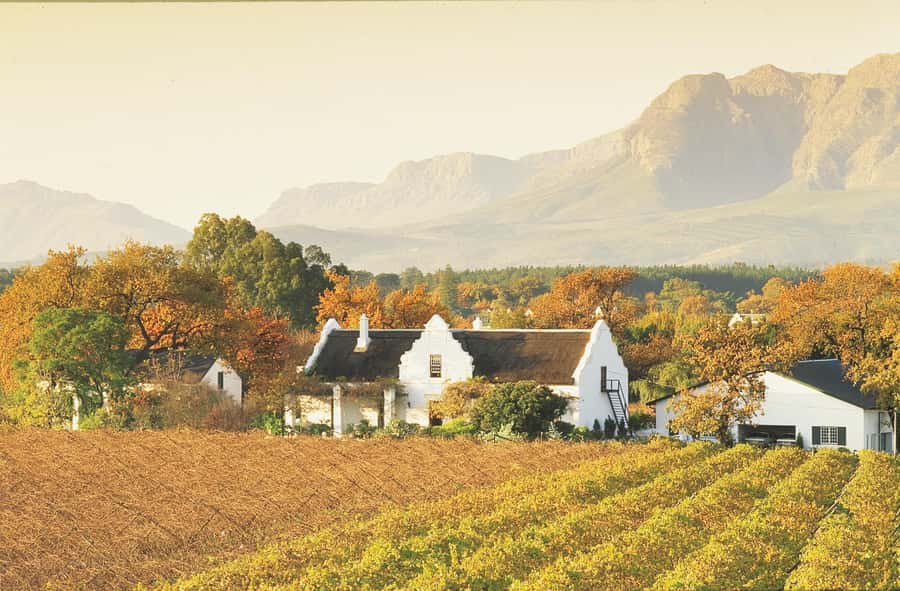 Private Full-Day Winelands Tour in Stellenbosch - Why the private format matters