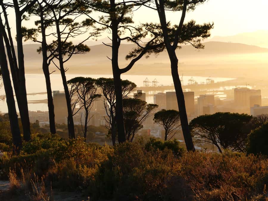 Private Guided Half-Day City Tour with Table Mountain - Why this four-hour introduction works
