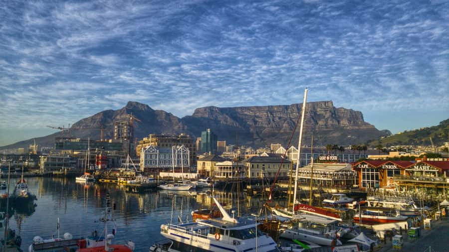 Private Guided Half-Day City Tour with Table Mountain - Table Mountain: the important fine print