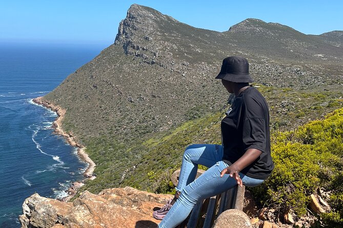 Private Guided Tour in Cape of Good Hope and Table Mountain - Table Mountain is the headline attraction