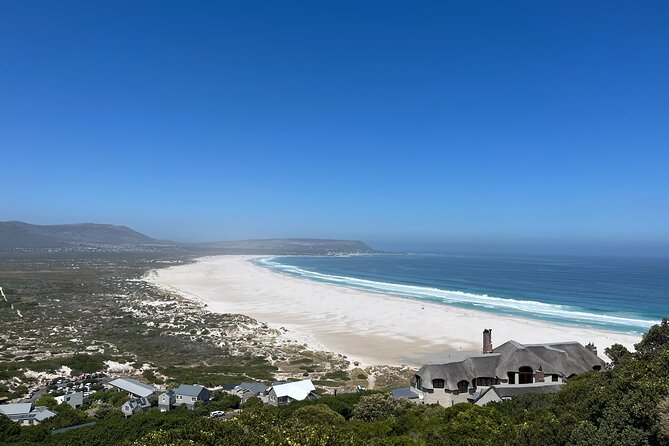 Private Guided Tour in Cape of Good Hope and Table Mountain - Chapman’s Peak Drive is the road you remember