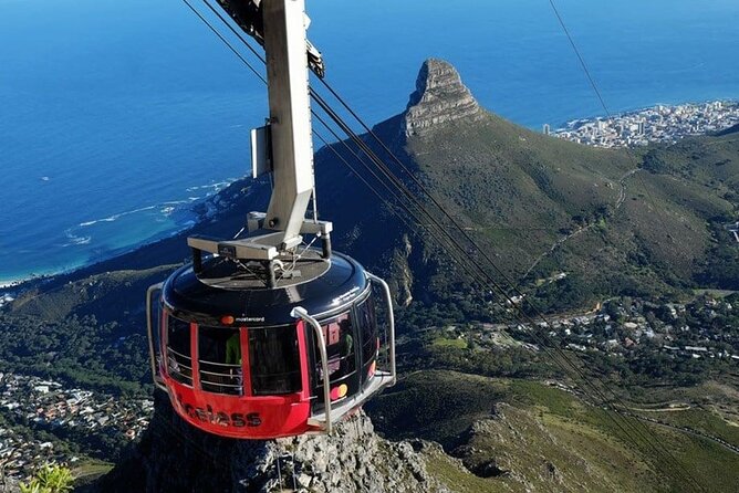 Private Guided Tour to Table Mountain and Cape Point with Penguin - Key points before you book