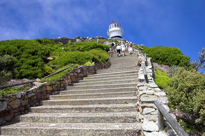 Private Guided Tour to Table Mountain and Cape Point with Penguin - Boulders Beach is the day’s wildlife centerpiece