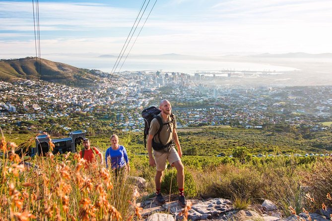 Private Hiking Tour of Table Mountain - Is $253.96 per person good value?