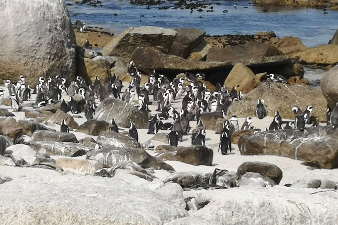 Private Historical Cape Town City and Scenic Passes Tour. - Two hours in central Cape Town