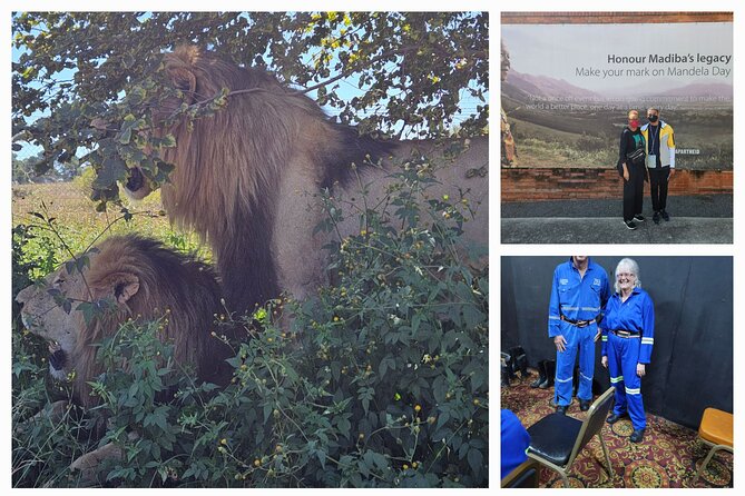 Private Johannesburg and Pretoria Tour - Who will enjoy this private format most