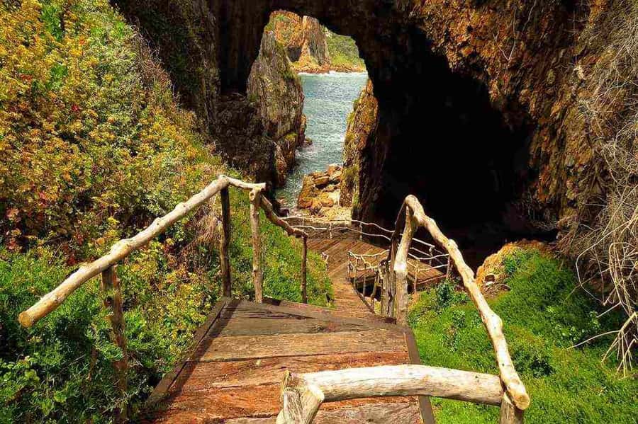 Private Knysna Tour - Full Day - Starting in a private vehicle around the Garden Route