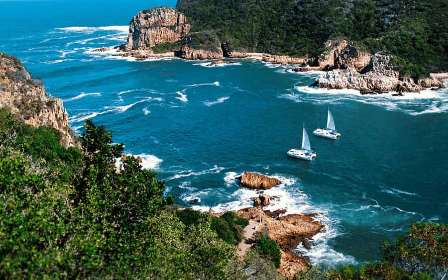 Private Knysna Tour - Full Day - Crossing the Knysna Estuary to Featherbed