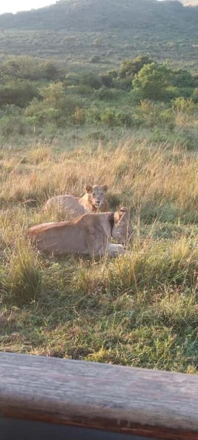 Private Kruger park and Panorama route tour