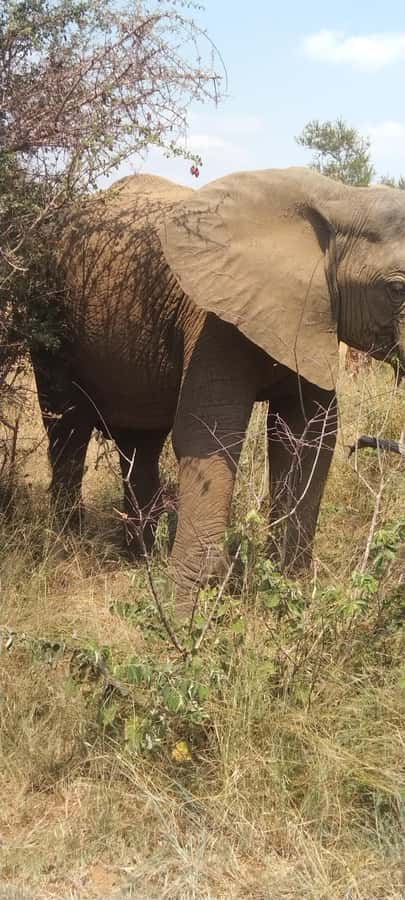 Private Kruger park and Panorama route tour - God’s Window and the Panorama Route