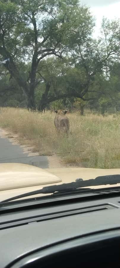 Private Kruger park and Panorama route tour - Who will enjoy this three-day plan?