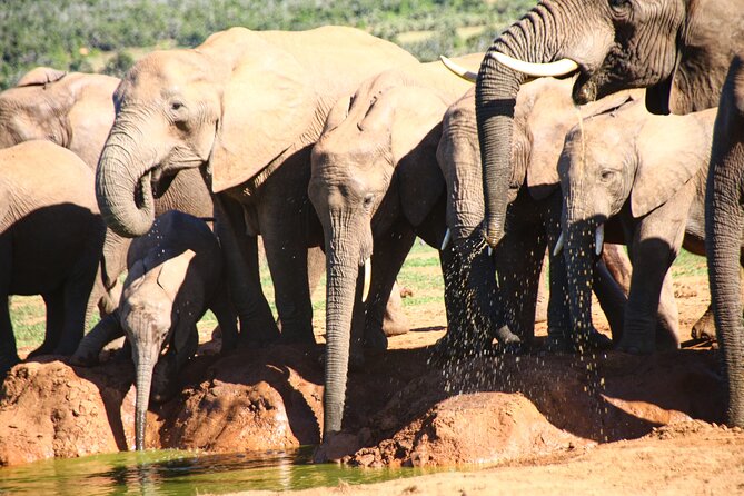 Private Kruger Park Safari and Panorama Route - Returning through the Panorama Route