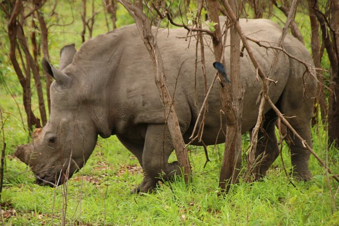 Private Kruger Park Safari and Panorama Route - Booking details and cancellation terms