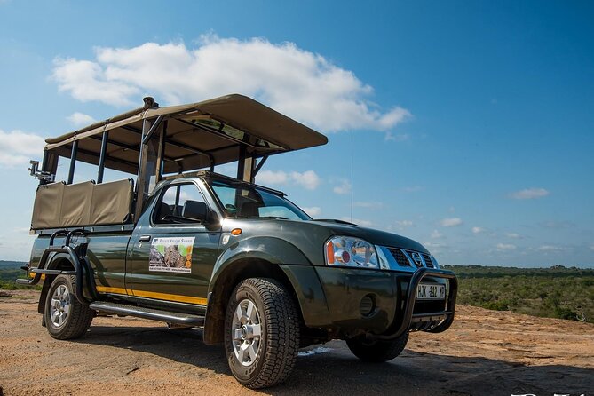 Private Morning Game Drive from Hazyview l Kruger National Park - Key points to know before booking