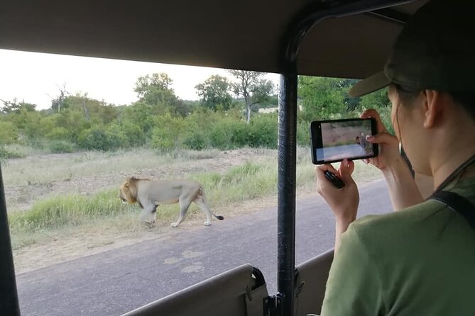 Private Morning Game Drive from Hazyview l Kruger National Park - Following the guide through Kruger