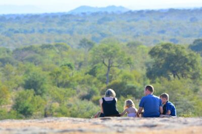 Private Morning Game Drive from Hazyview l Kruger National Park