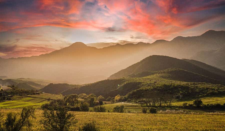 Private Oudtshoorn Full Day Tour - Key points to know before booking