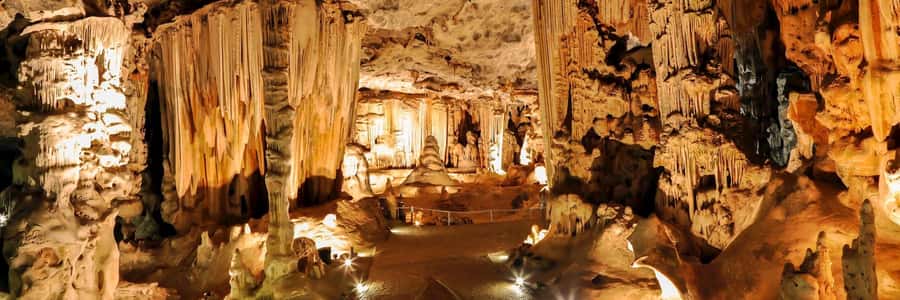 Private Oudtshoorn Full Day Tour - An ostrich farm and the famous egg stunt