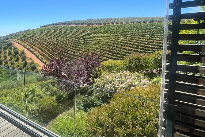 Private/Personalized Full Day Wine Tasting Tour Cape Winelands - Traveling in the Audi A5