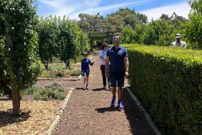 Private/Personalized Full Day Wine Tasting Tour Cape Winelands