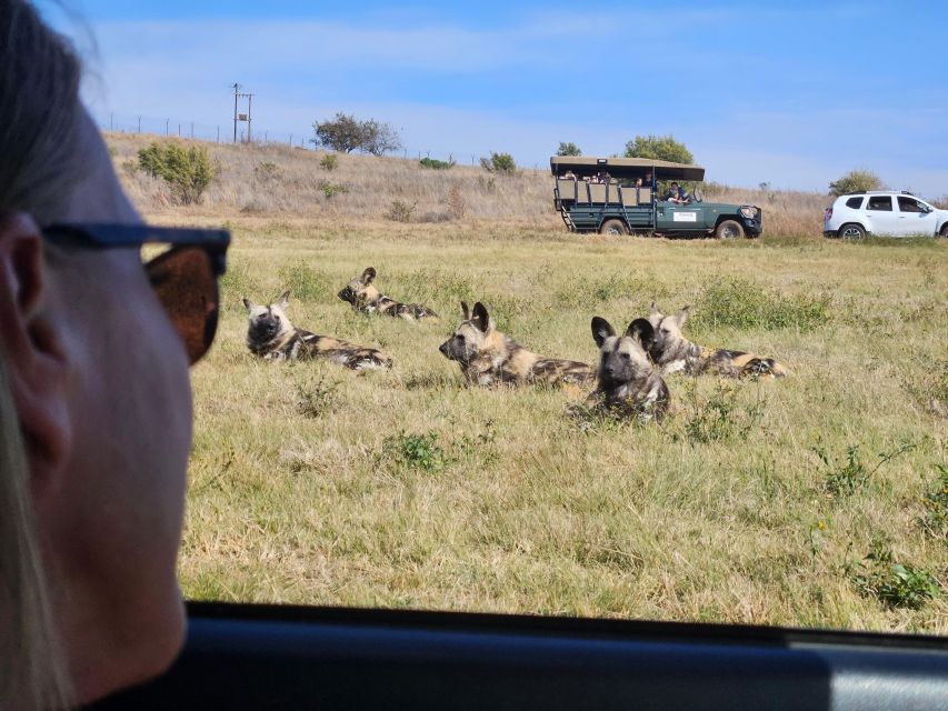 Private Rhino and Lion Park, Cradle Caves or Maropeng Museum - Sterkfontein Caves: the more atmospheric choice