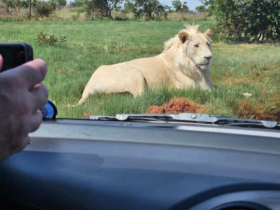 Private Rhino and Lion Park, Cradle Caves or Maropeng Museum - Who should book this day?