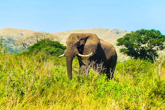 Private Safari and Wildlife Tour in Hluhluwe - Entering Hluhluwe-Imfolozi Park