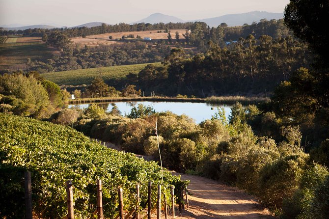 Private Stellenbosch, Franschhoek and Paarl Wine Tour - Three regions in about eight hours