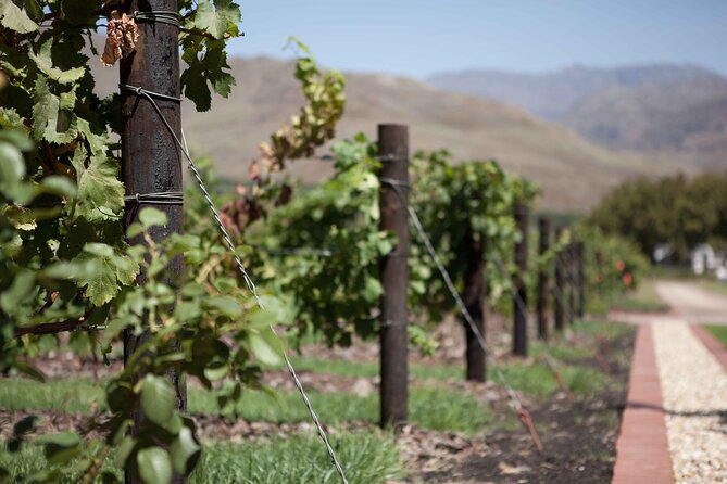 Private Stellenbosch, Franschhoek and Paarl Wine Tour - What the $175.95 price really covers