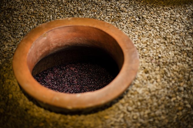 Private Stellenbosch, Franschhoek and Paarl Wine Tour - Who should book this wine day