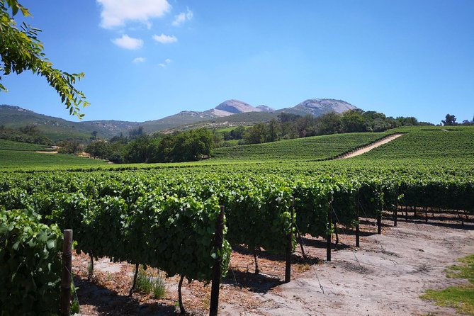 Private Stellenbosch, Franschhoek Paarl Wine Tour from Cape Town - Paarl begins with architecture and mountain views