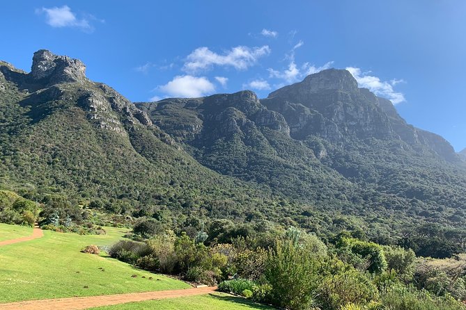Private Table Mountain, Kirstenbosch and Constantia Wine Tasting. - Guide quality and the human side of the day