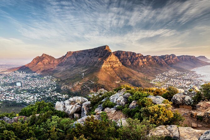 Private Table Mountain Penguins & Cape Point Tour from Cape Town - Hout Bay and Seal Island: worthwhile, but watch the clock