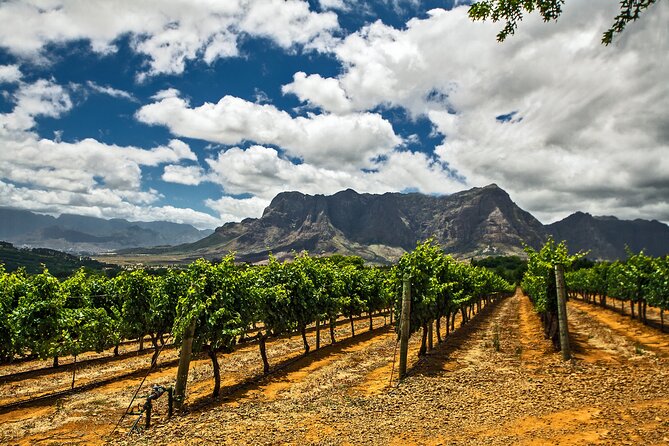 Private Table Mountain Penguins & Cape Point Tour from Cape Town - Cape Point deserves the two-hour allocation