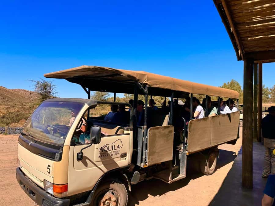 Private Tour: Big 5 Safari, Experience the wild animals - Who should book this safari?