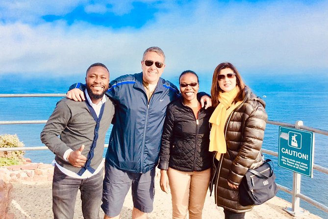 Private Tour: Boulders Beach Penguin Colony and Cape of Good Hope - Chapman’s Peak is the road you will remember