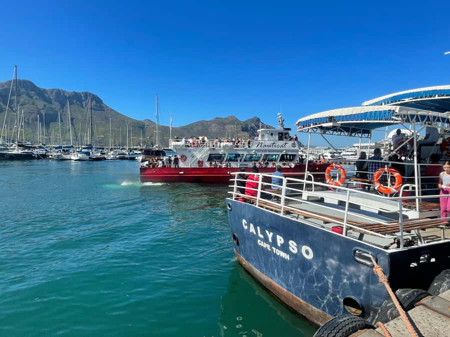 Private Tour:Cape of Good Hop>Chapman’s >Penguin>Seal island - Chapman’s Peak is one of the day’s best road sections