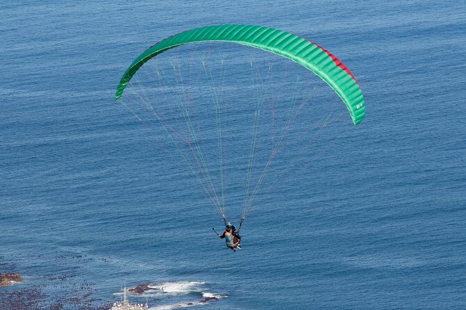 Private Tour: Cape of Good Hope and Boulders Beach Penguin Tour - Why This Cape Town Day Trip Works