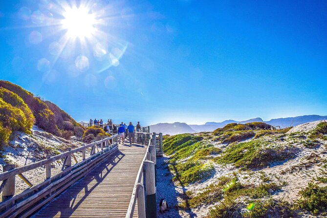Private Tour: Cape of Good Hope, Cape point and Boulders Beach - Timing, comfort, and the shape of the day