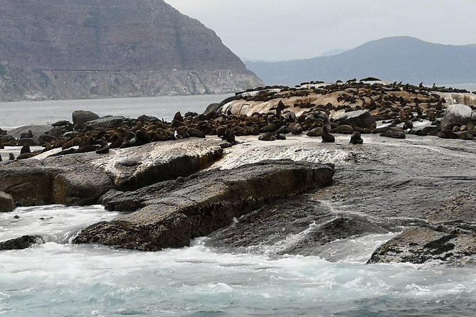 Private Tour: Cape of Good Hope Cape Point Penguins Kirstenbosch - Camps Bay, Maidons Cove, and the return route