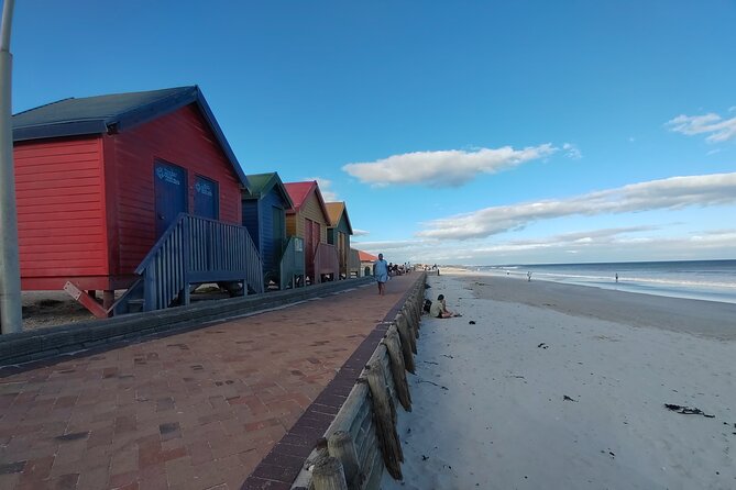 Private Tour : Cape of Good Hope,Penguin Colony& Muizenberg Beach - Cape of Good Hope brings the wild coast
