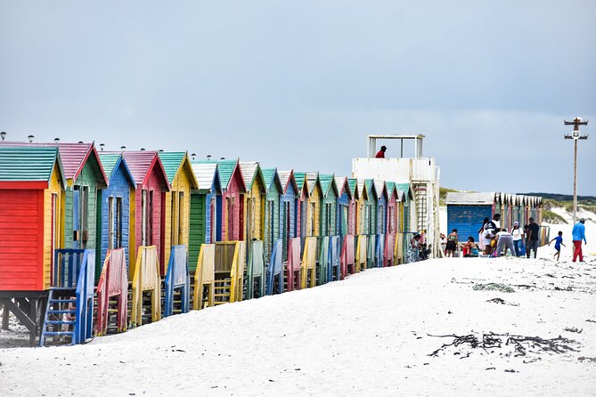 Private Tour Cape of Good Hope & Penguins Sightseeing Full day - Hout Bay and the optional seal-island boat