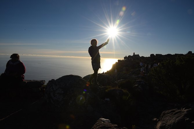 Private Tour: Cape Of Good Hope & Wine Tasting - Boulders Beach offers a close look at African penguins